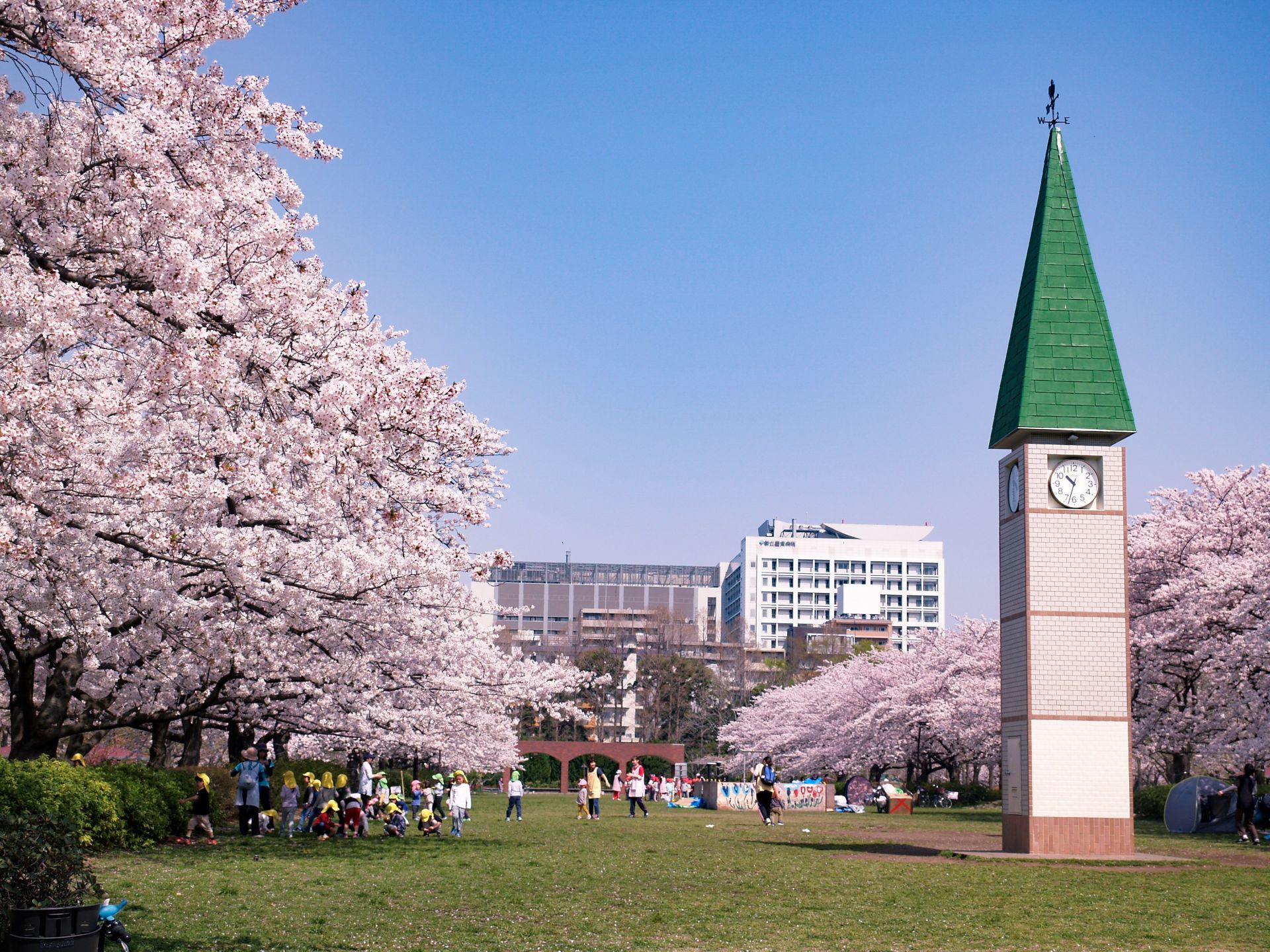 遠距考試漏洞浮現！首爾大學線上期末考疑雲 36名學生成績全數作廢